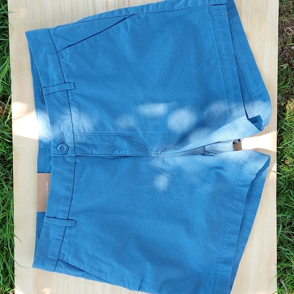 Patagonia Women's Stretch All-Wear Shorts, 4" inseam, Pigeon Blue